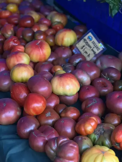 Verschiedene rote und gelbe alte Tomatensorten auf einem Marktstand